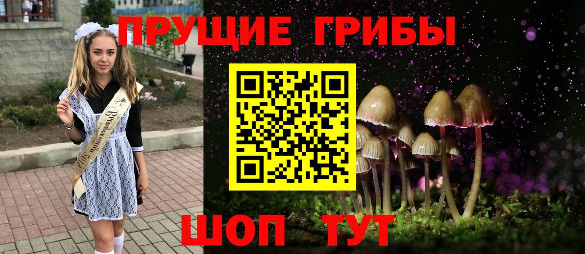 Галлюциногенные грибы MAGIC MUSHROOMS  Вход с VPN  Зеленодольск  Псилоцибиновые грибы мицелий 