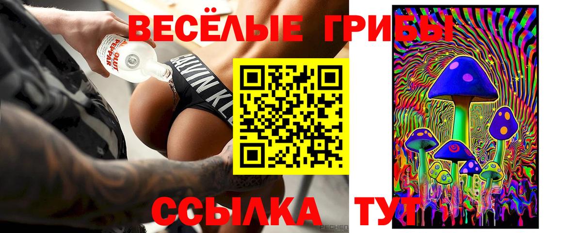 Псилоцибиновые грибы GOLDEN TEACHER Зеленодольск
